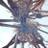 bollesglax's profile image