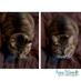 Rayna McGinnis (@denverpetphotog) Twitter profile photo