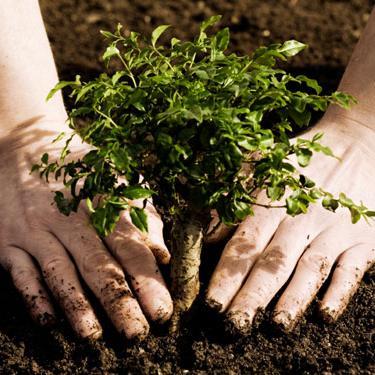 plantcounter's profile picture. 