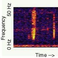 lafontai deok (@gaylordsalas) 's Twitter Profile Photo