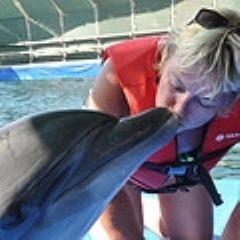 BentleyVenus's profile picture. Thông tin đồ họa | Đồ Họa - Quảng cáo - Ý tưởng - Sáng tạo - Giải trí