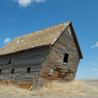 WheatNOil