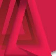 A well-established, respected international safety and risk management company serving the Defense, Aviation, Regulatory and Transport Sectors