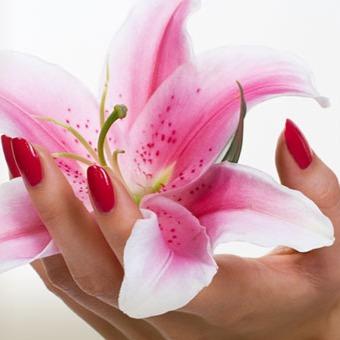 Mobile beauty therapist specialising in individual lashes and gel nails and spray tans previously worked beauty works & hair at conservatory