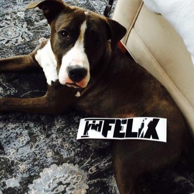 LoriLph33's profile picture. 