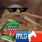MLG_WoodEch's profile picture. Nosc0pes