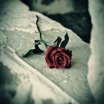 I can't change the direction of the wind,but I can adjust my sails to always reach my destination..