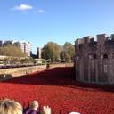 Stewart Powell - @stewpowell1 - Twitter