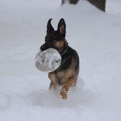 sgroher's profile picture. 