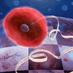 Single Cell papers (@scell_papers) Twitter profile photo Single Cell papers (@scell_papers) Twitter profile photo