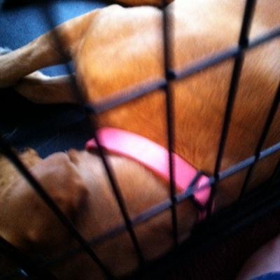 RichardHand10's profile picture. 