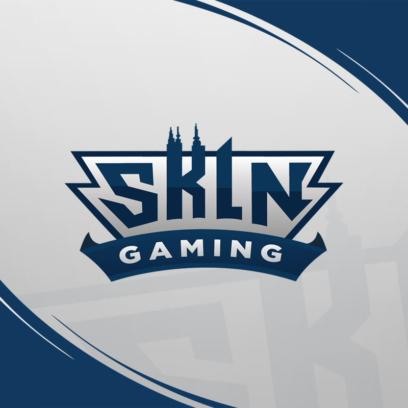 Professional Design team for @skyiinegaming Accepting new Clients