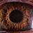 ImagenesHorror's profile image
