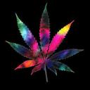 Hailey Potts - @fxcknormality22 - Twitter