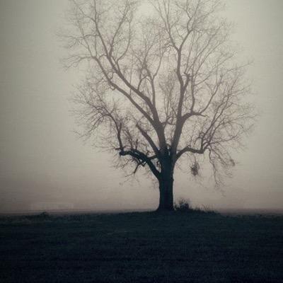 rodgerpardue's profile picture. 