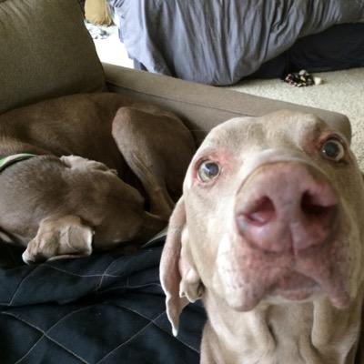 byrdsdjtobin's profile picture. 