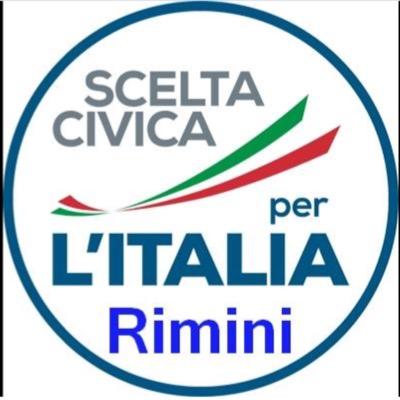 movimento politico riformatore e liberaldemocratico che parte dalla società civile per cambiare l'Italia.