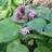 Nature_columbia's profile image