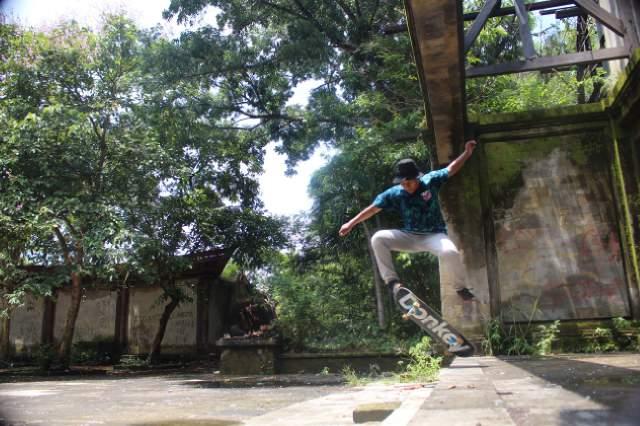 Skate and destroy