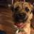 BettyTheBT's profile image