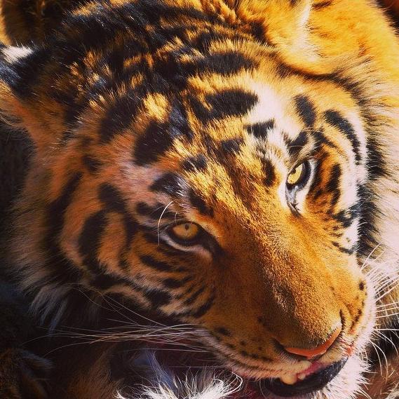 elKarwnio's profile picture. 