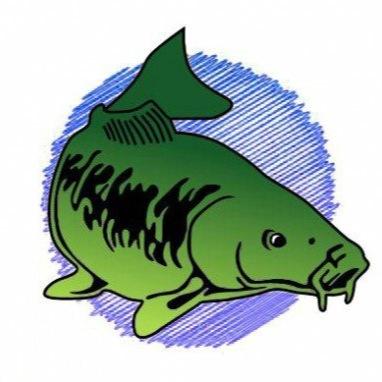 Norfolk Carp Crew is for anglers to share their recent catch reports. Member @Taswood_lakes. Visit @FishingRepublic kings Lynn for great service.