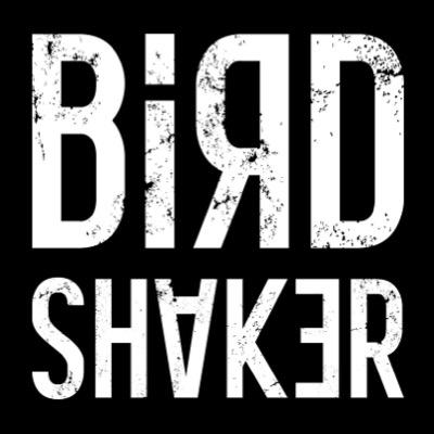 indie/pop/rock band from the netherlands