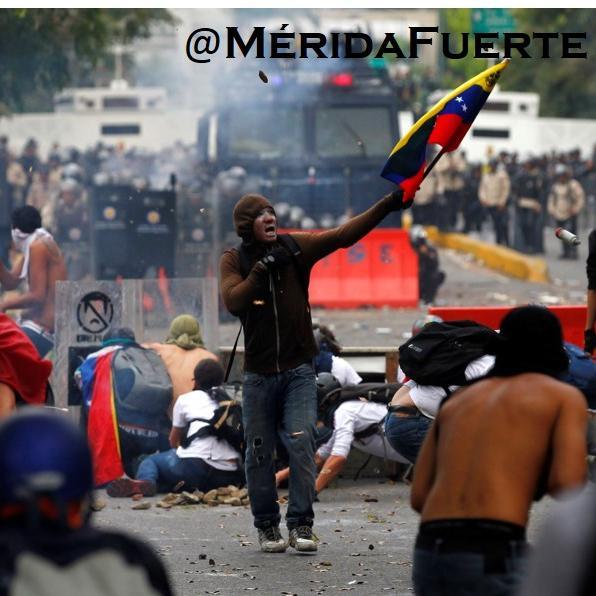 meridafuerte's profile picture. RESISTENCIA GOCHA ACTIVA.  La información viene desde lo mas interno de la Resistencia, verás y en tiempo real. BASTA de tanta mierda, seguiremos en la CALLE!!