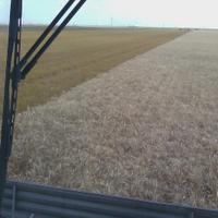 John Nelson (@nebwater_crops) Twitter profile photo