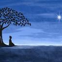 Brandon Loy - @BrandonLoy - Twitter