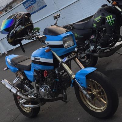 ZOOMER KSR110 FTR223 GPZ400R L700V TCR10W TCR11W GC8