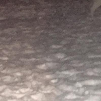 harvey_NoDa's profile picture. 