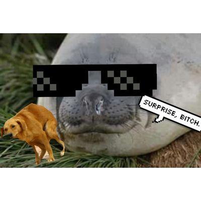 So patrão não funcionário .... / Twitter da zoera , não levem a serio ... /siga : @Bisa_Lila