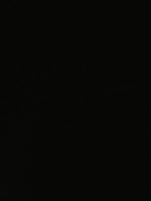 ‏‏‏‏‏ﻻ يوجد