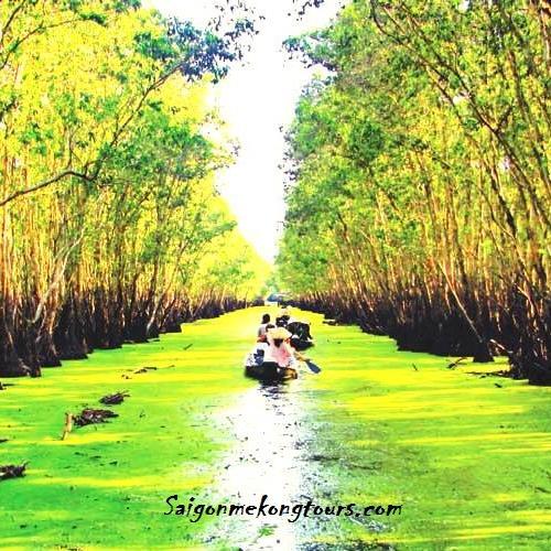 saigonmekong's profile picture. We are a leading wholesales tour operator in Vietnam, Saigon and Mekong Delta... Give us a try! You will get a sweet memory trip in Vietnam.