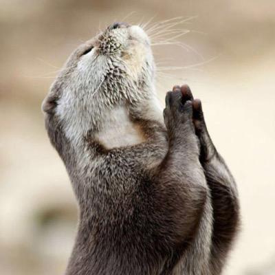 kasuba48's profile picture. 