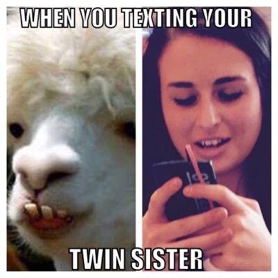 iHazSoManyMemes's profile picture. 