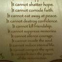 Del Nolan Jr - @mailmanT6 - Twitter