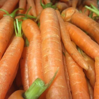 LaneLocandasf's profile picture. 