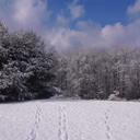 Leslie deVries - @Devries1My - Twitter