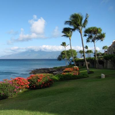 mktgtoday's profile picture. Lover of marketing, good layout & design, Adobe creative design suite, social media, PR, branding, Pardot marketing automation, Salesforce CRM, and Stampin 'Up!