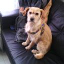 dalila esther velez  - @DalilaEsther54 - Twitter