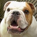 Janice Yarbrough - @42jky - Twitter