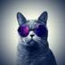 unfollow (@gomezmario8) Twitter profile photo
