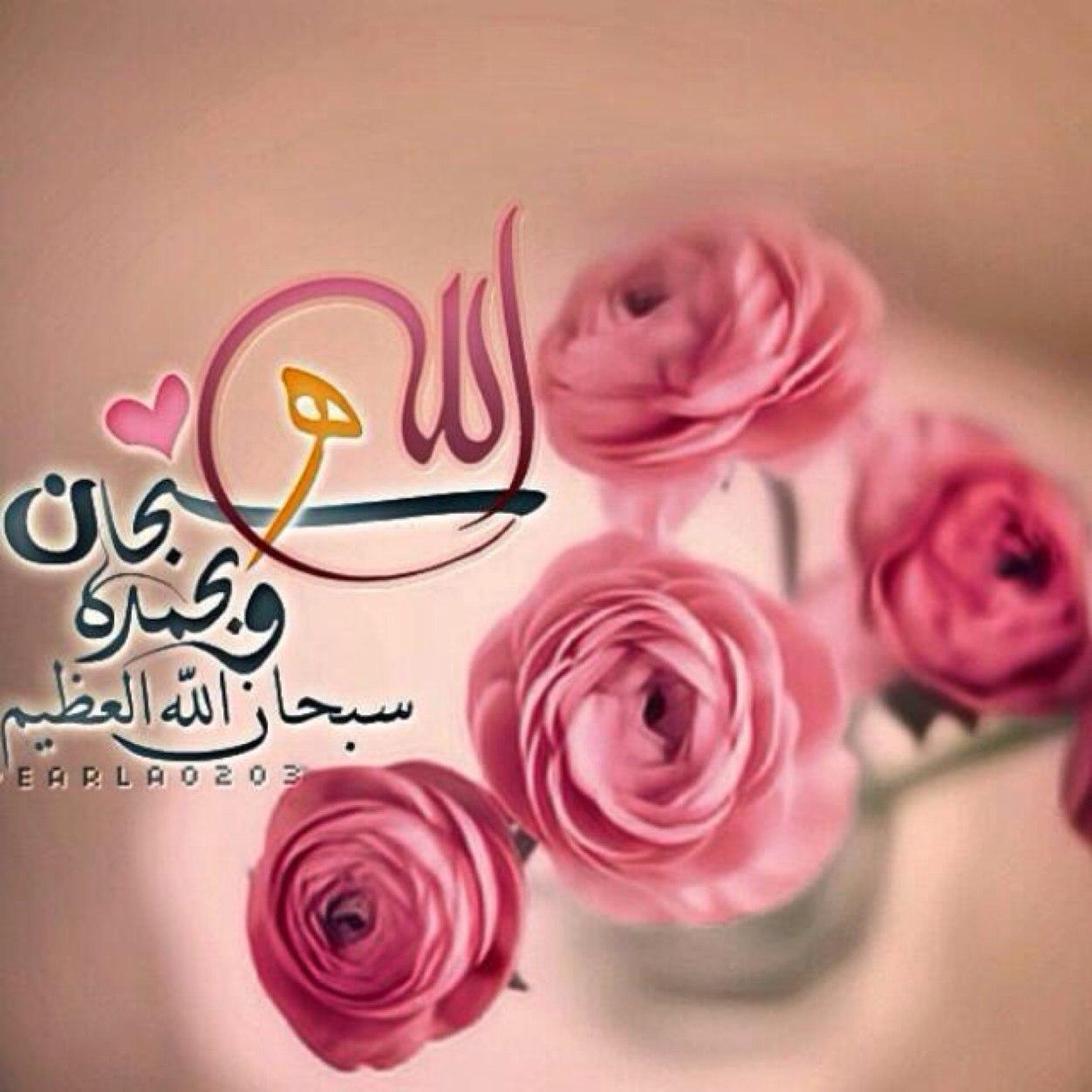 ~ربي أسَألگ هدُوء آلنـفسّ وٰ طمأنَينة آلقلبّ وإنشَـرآح آلصّدر ربيَ أسألگ توفيقاً يُرآفق خطآي وحَيآة مليئَة بگل مٰآ هو يرضَيگ ..♡