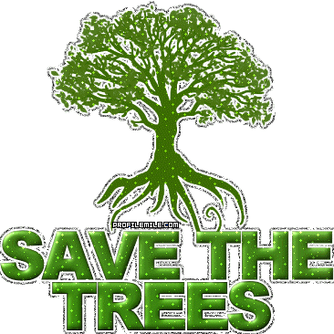 Promoting reforestation and giving tips on how you can help save the trees!