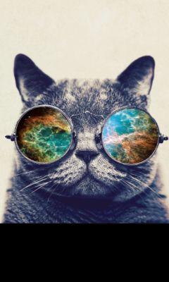 ella_of_detroit's profile picture. #Detroit, USA