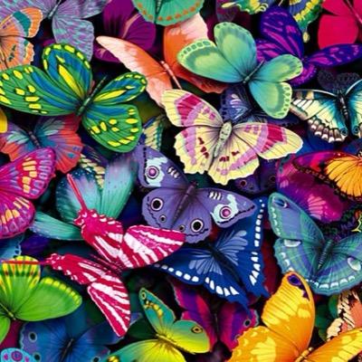 slvick's profile picture. 