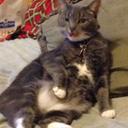 Faye Dunn - @faithful2120 - Twitter