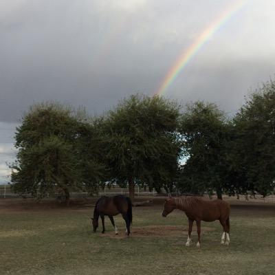 kansaiben_az's profile picture. Chicago White Sox ATC; #NATA; #ATC; #NSCA; #CSCS; Rescue Dogs; Horses; CalStateEastBay; TempleU